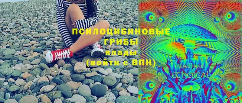 Галлюциногенные грибы Magic Shrooms  купить   Островной 